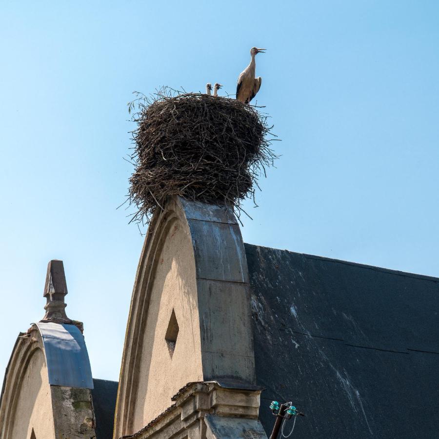 Zamek Sarny - Schloss Scharfeneck Клодзко Экстерьер фото