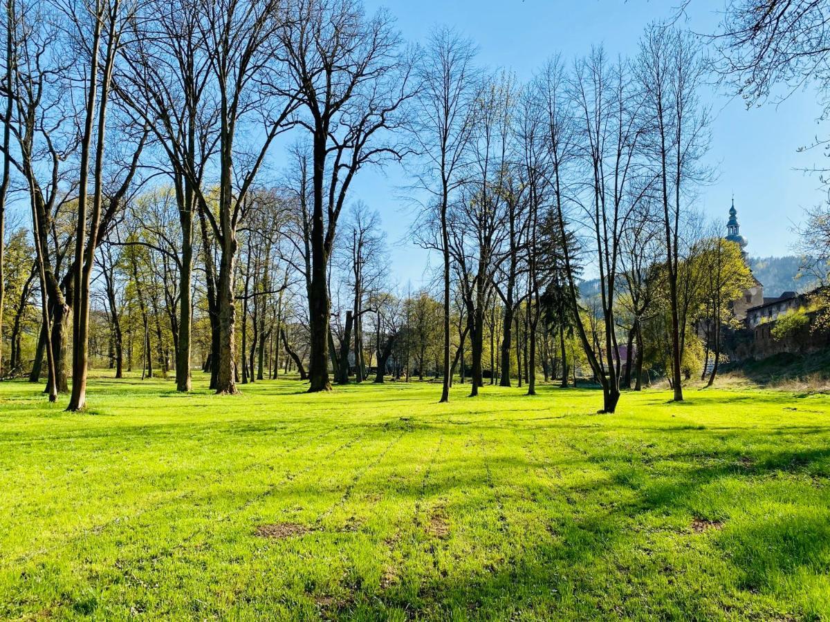 Zamek Sarny - Schloss Scharfeneck Клодзко Экстерьер фото
